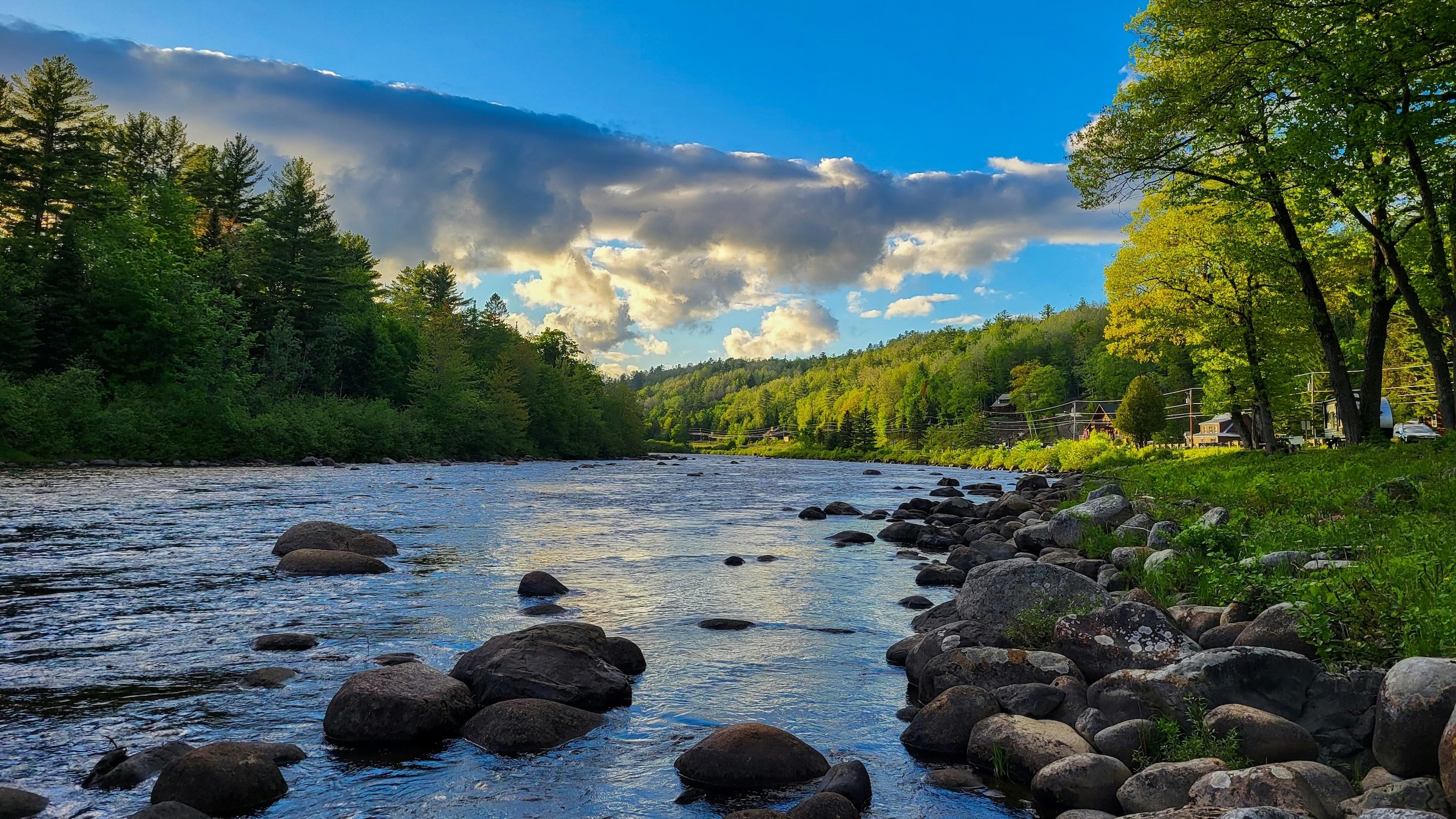 A shaded stream flowing over rocks through a forested channel.